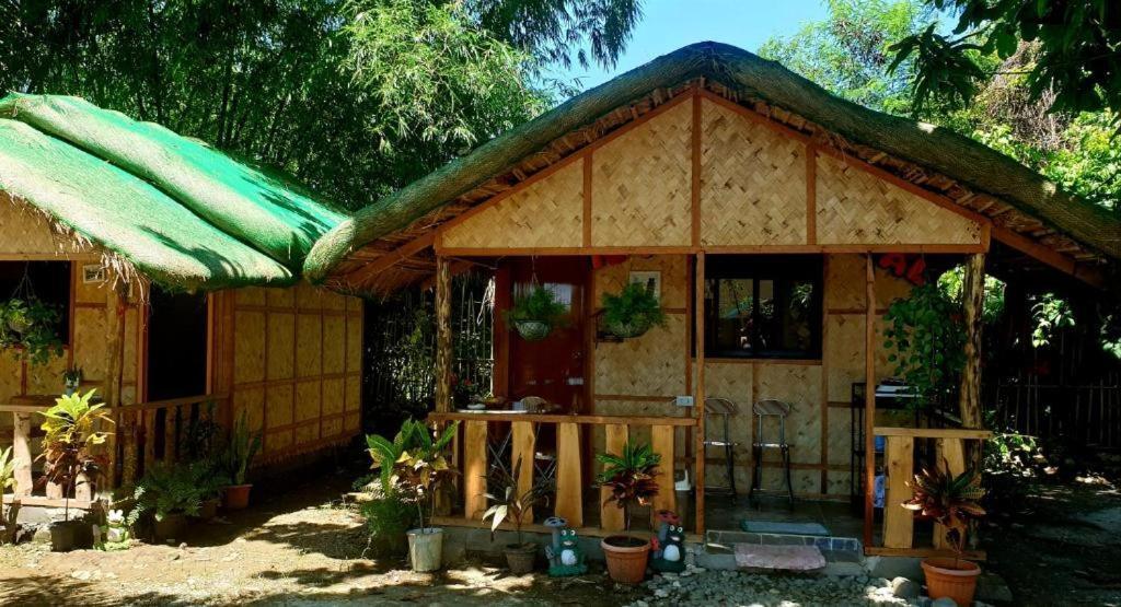 Traditional Filipino Transient House And Huts Near 100 Islands Wharf Alaminos Luaran gambar