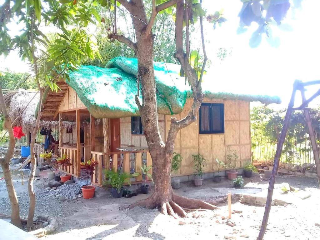 Traditional Filipino Transient House And Huts Near 100 Islands Wharf Alaminos Luaran gambar