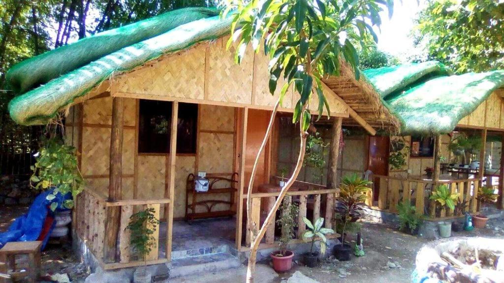 Traditional Filipino Transient House And Huts Near 100 Islands Wharf Alaminos Luaran gambar
